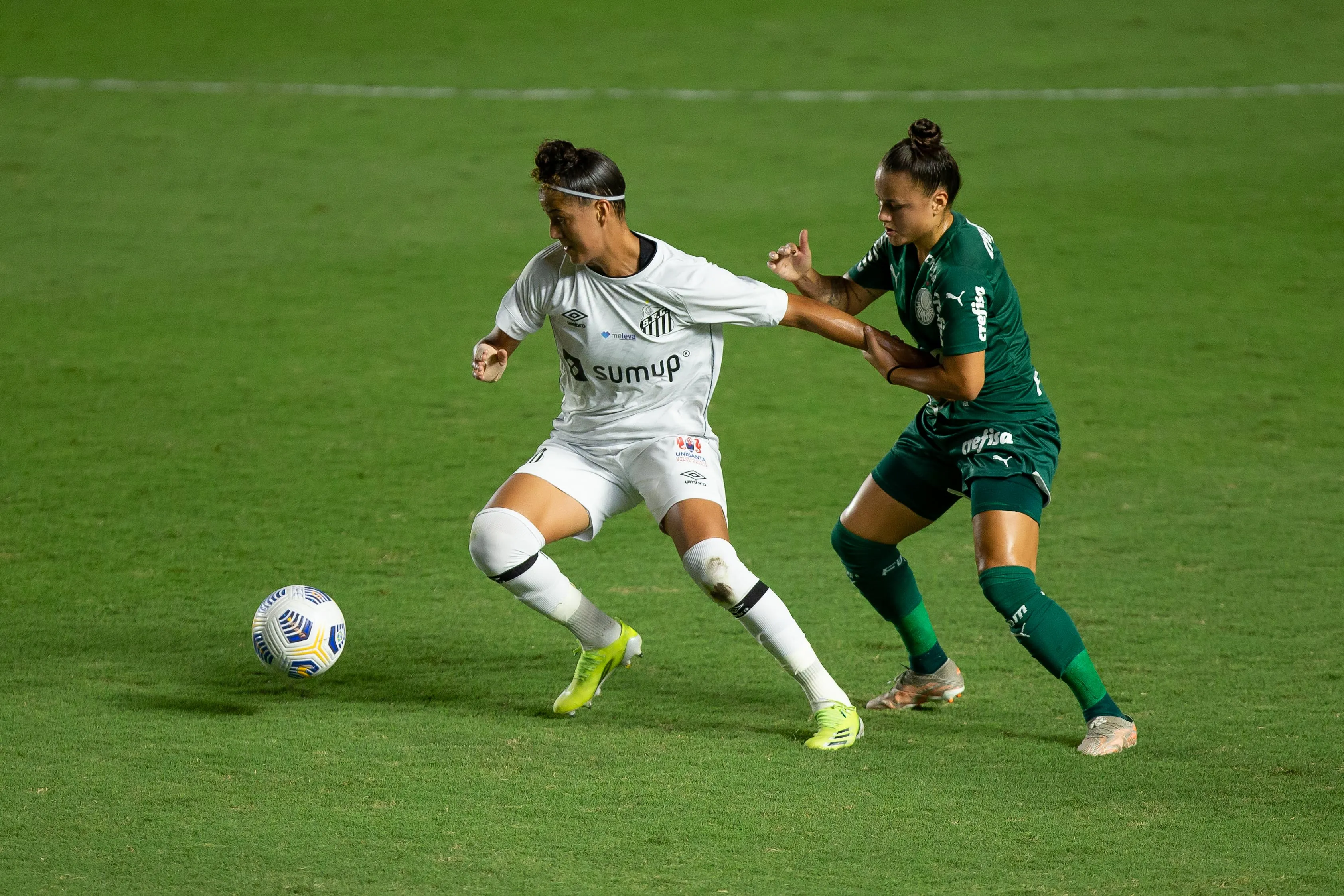 Santos x Palmeiras. Foto: Rebeca Reis/AGIF