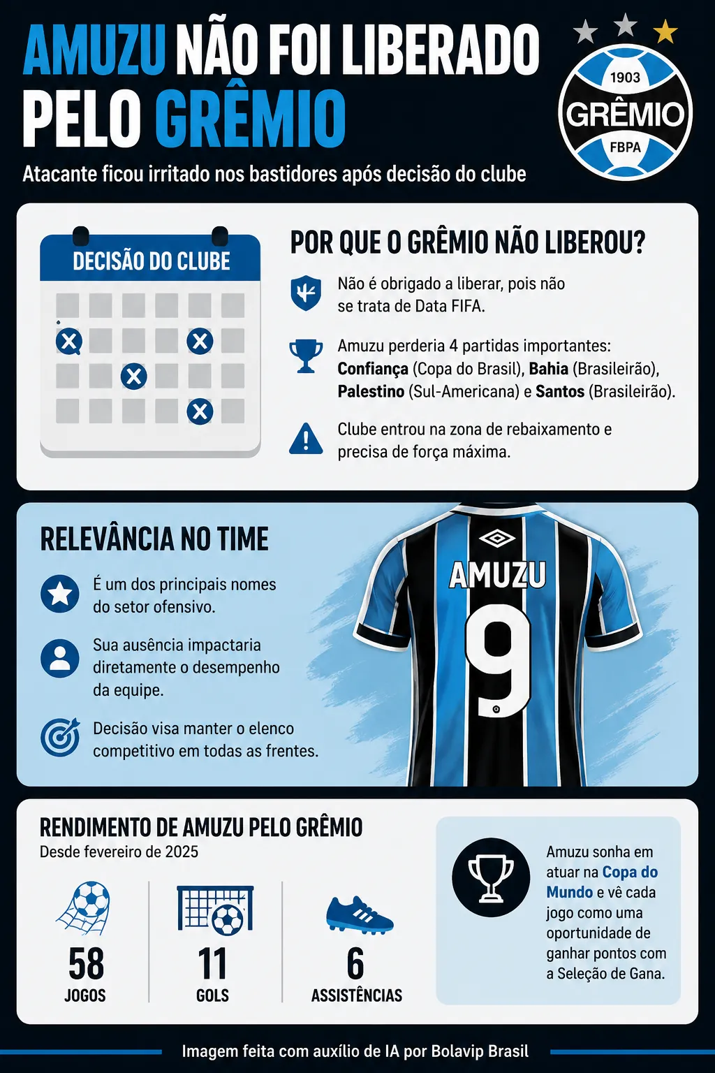 Infográfico Amuzu