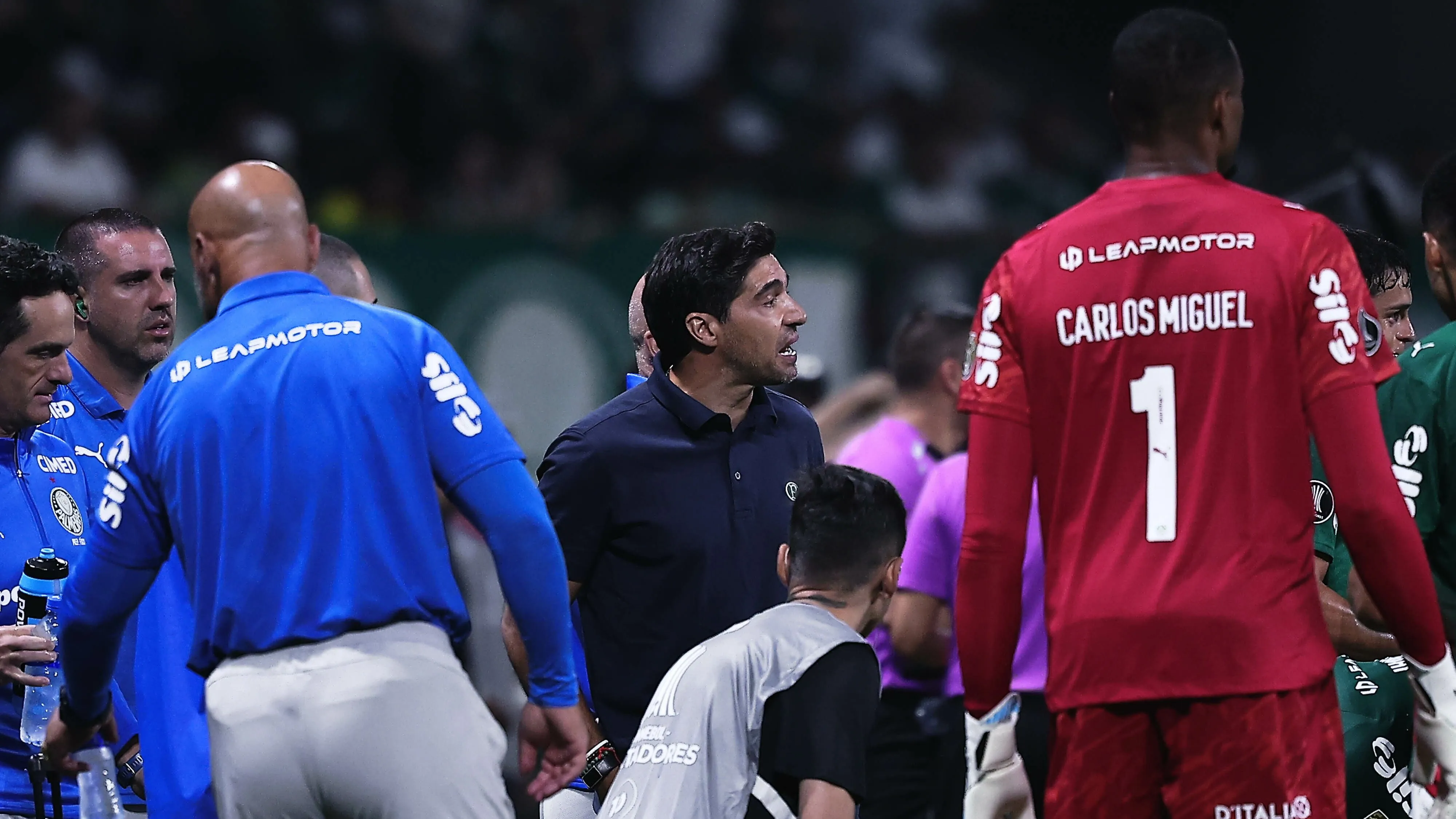 Abel no Palmeiras. Foto: Ettore Chiereguini/AGIF