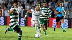 Santos x Coritiba. Foto: Mauricio De Souza/AGIF