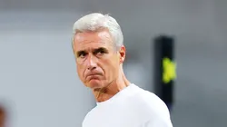 Luís Castro ainda está devendo no Imortal.