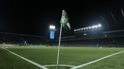 Jogo do Palmeiras x Botafogo terá entrada gratuita - Foto: Marco Miatelo/AGIF