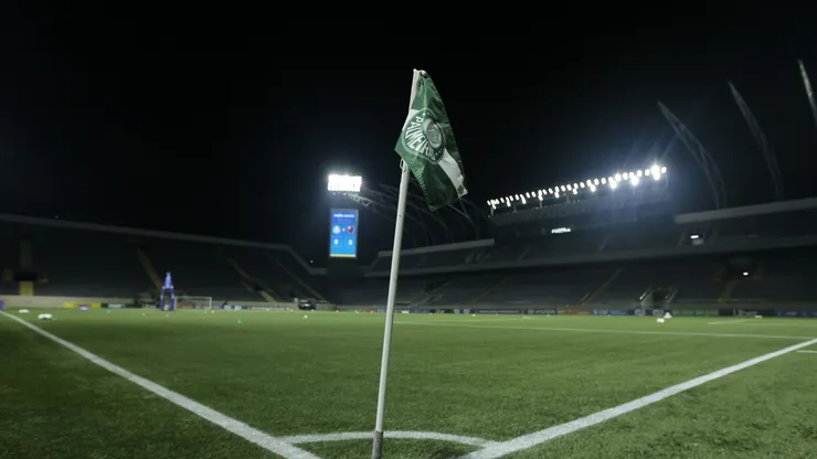 Jogo do Palmeiras x Botafogo terá entrada gratuita - Foto: Marco Miatelo/AGIF