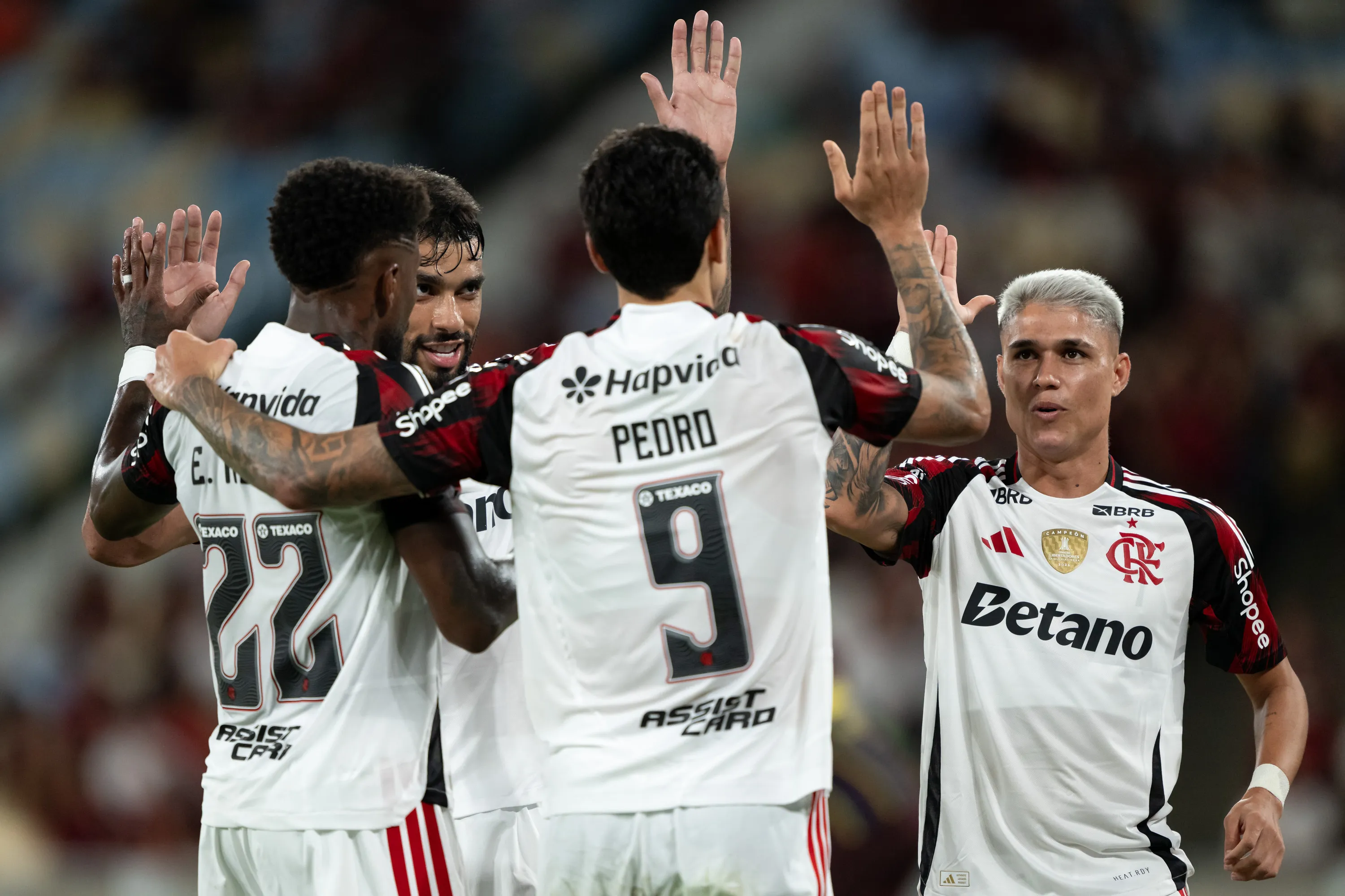 Luiz Araújo vem sendo utilizado por Leonardo Jardim. Foto: Jorge Rodrigues/AGIF