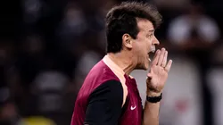 Fernando Diniz já deu o seu recado sobre o elenco para direção Alvinegra