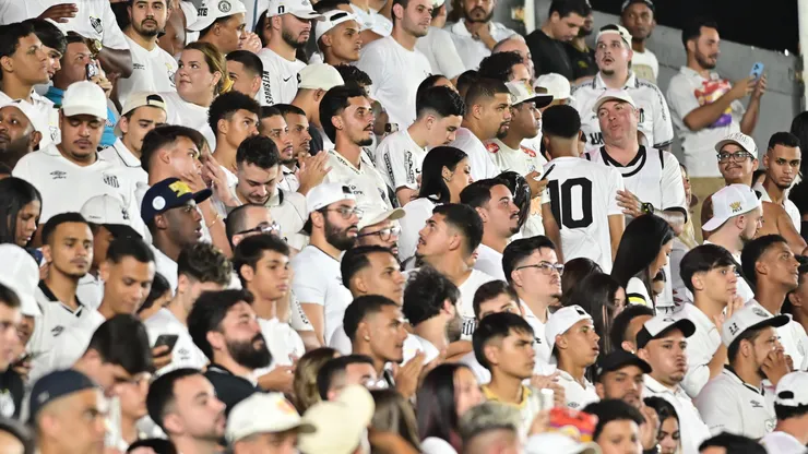Torcedores do Santos durante partida na Vila Belmiro - Foto: Jota Erre/AGIF