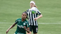 Santos x Palmeiras. Foto: Rebeca Reis/AGIF