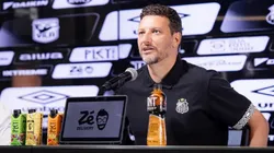 Elano defende convocação de Neymar e vê atacante pronto para a Seleção — Foto Raul Baretta Santos FC