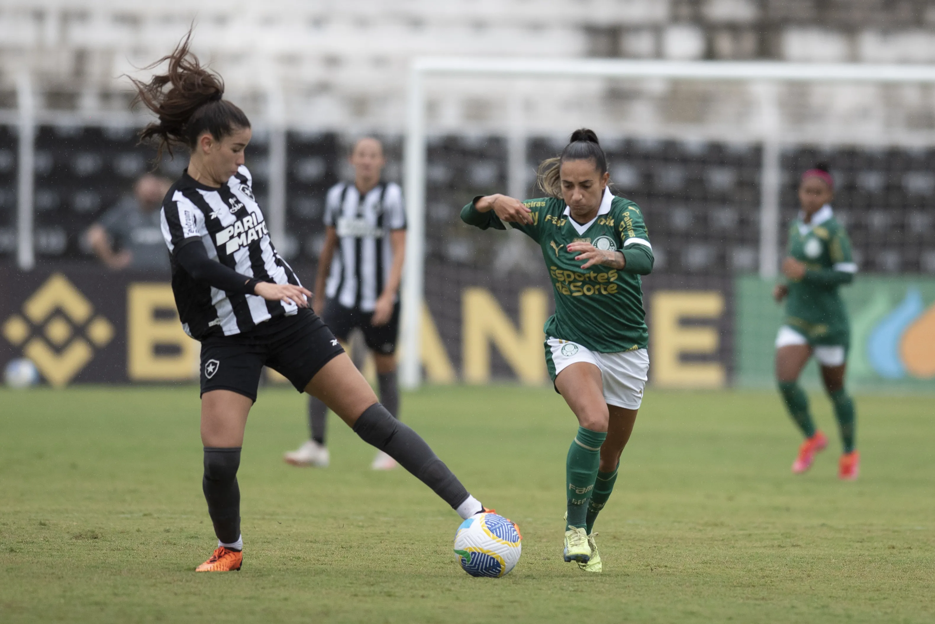 Palmeiras x Botafogo. Foto: Anderson Romão/AGIF