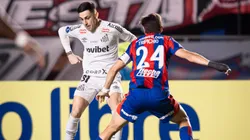 Santos e San Lorenzo se enfrentam pela Sul-Americana. Foto: Abner Dourado/ Santos FC