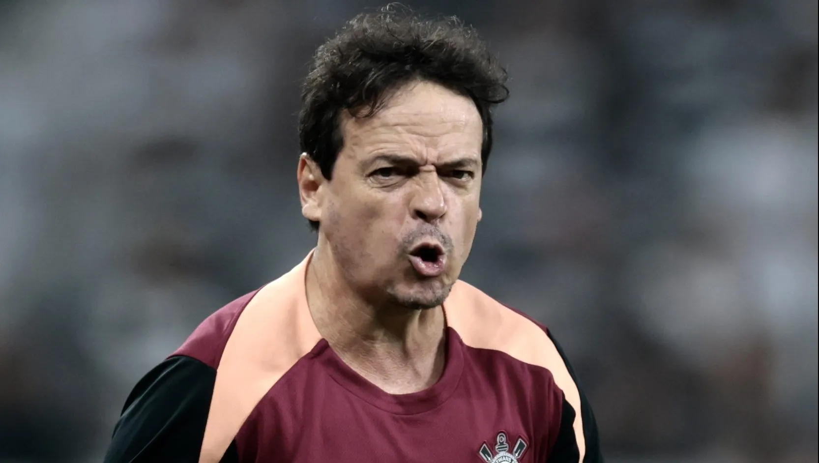 Fernando Diniz deve mudar o Corinthians - Foto: Marcello Zambrana/AGIF.