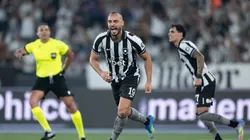 Ataque do Botafogo vira principal esperança para pressionar o São Paulo no Brasileirão — Foto Jorge RodriguesAGIF