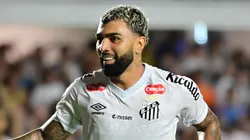 Gabigol jogador do Santos comemora seu gol. Foto: Jota Erre/AGIF