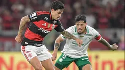 Flamengo e Palmeiras fizeram mais um confronto disputado pelo Campeonato Brasileiro