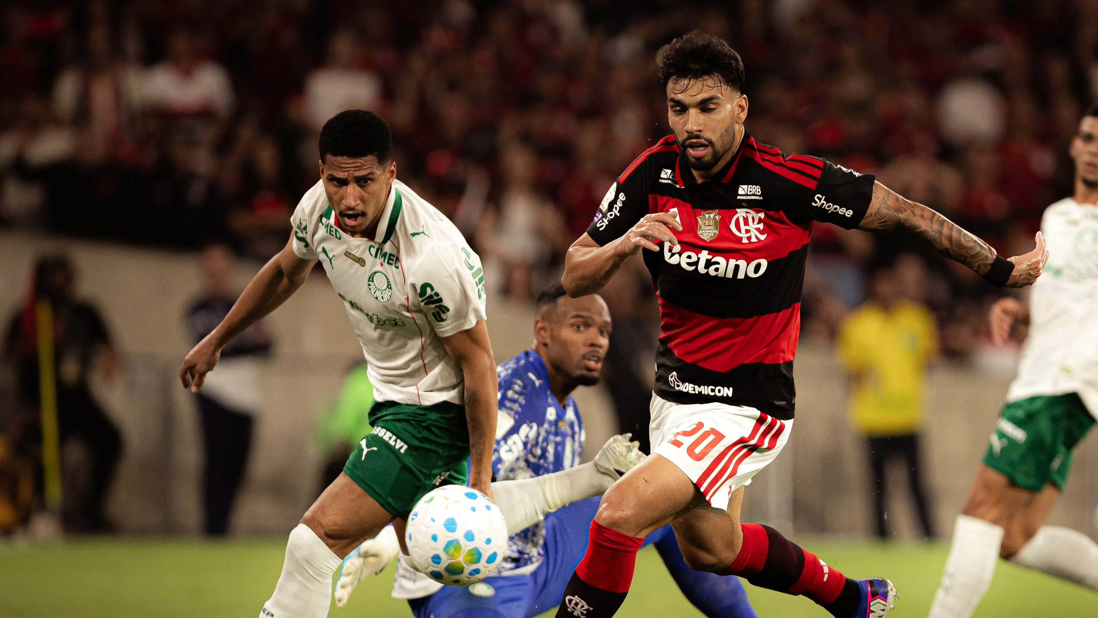 Flamengo x Palmeiras. Foto: Isabela Azine/AGIF