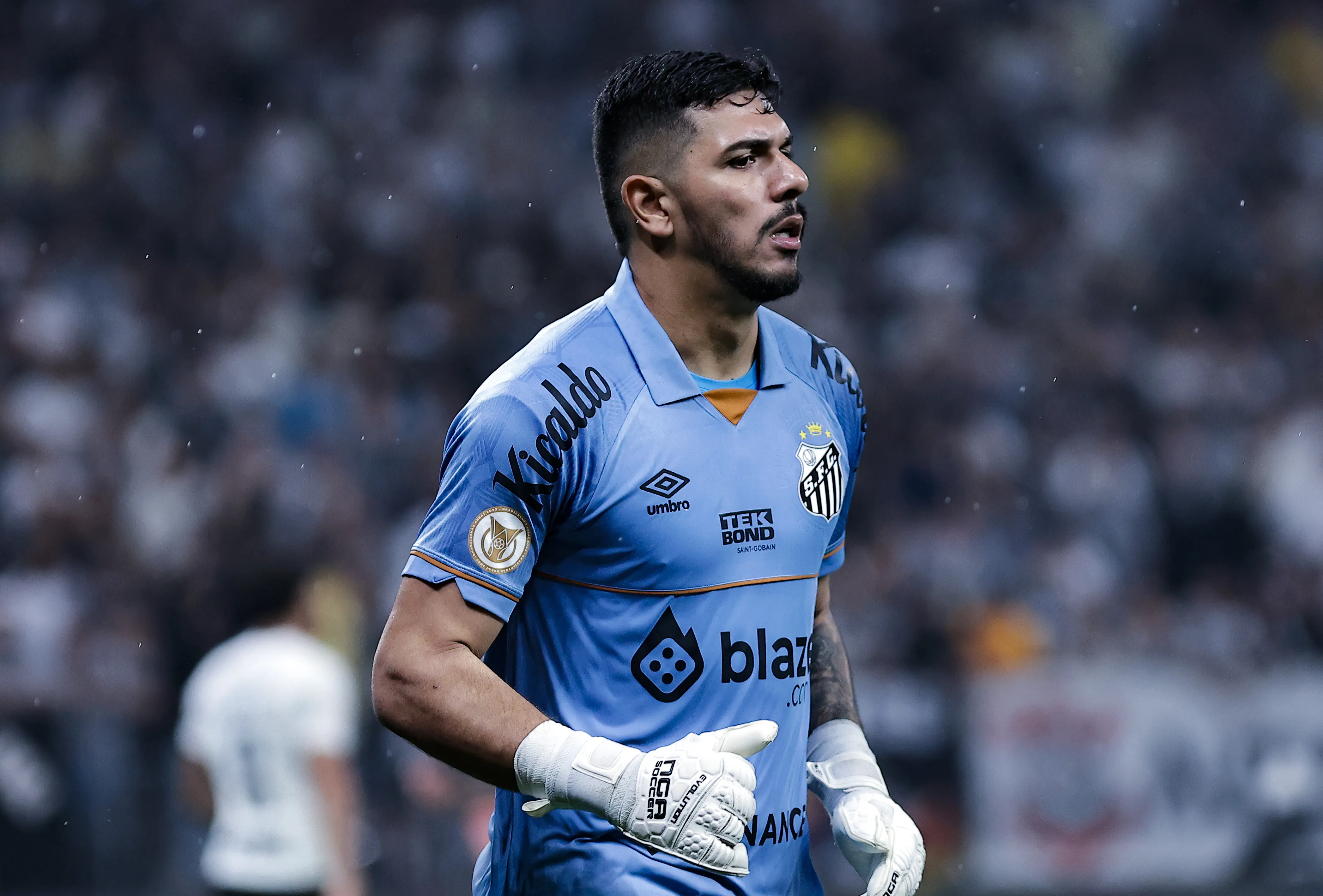 Goleiro tem chance de retornar ao Santos. Foto: Fabio Giannelli/AGIF