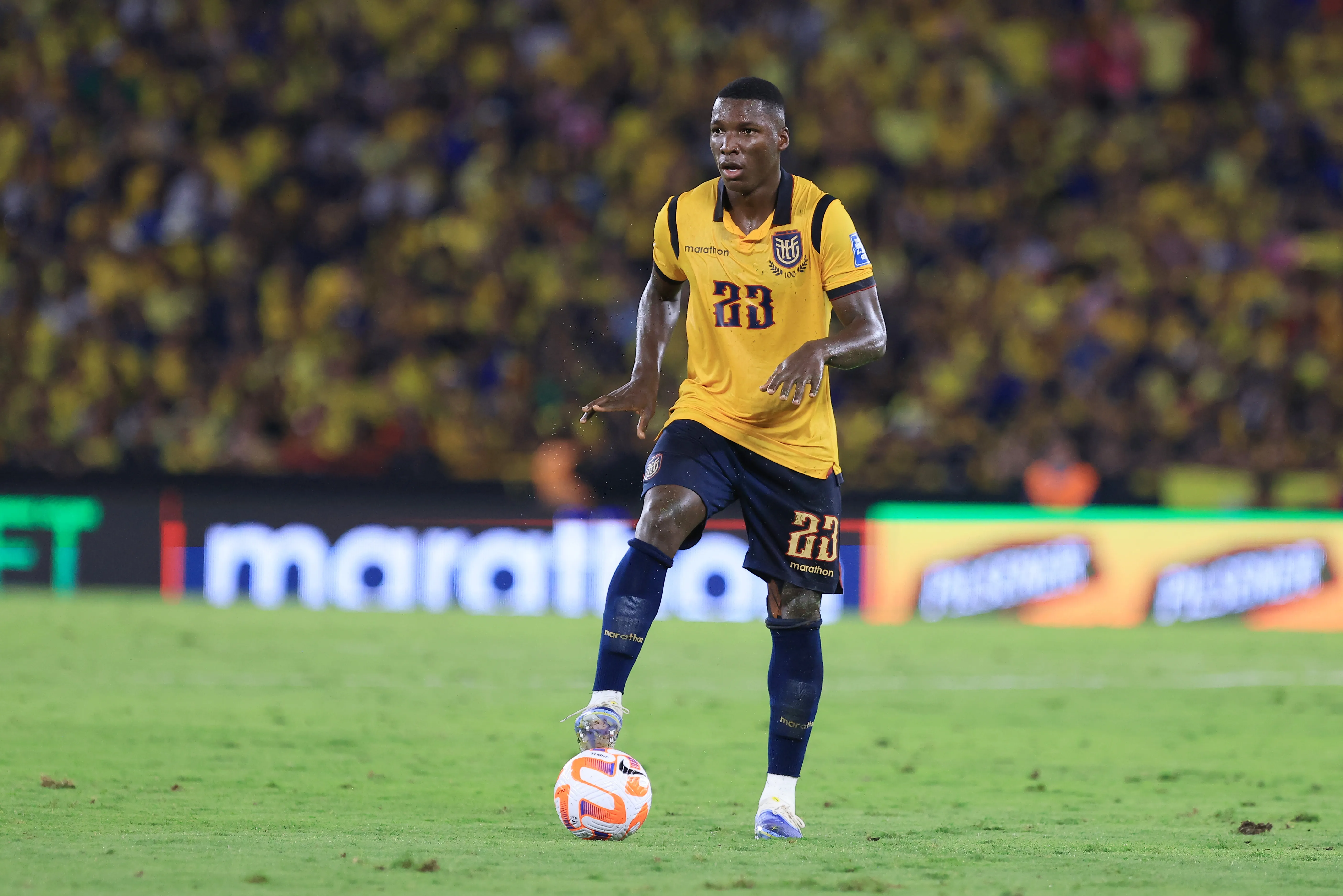 Moisés Caicedo - Equador. Foto: Franklin Jacome/Getty Images
