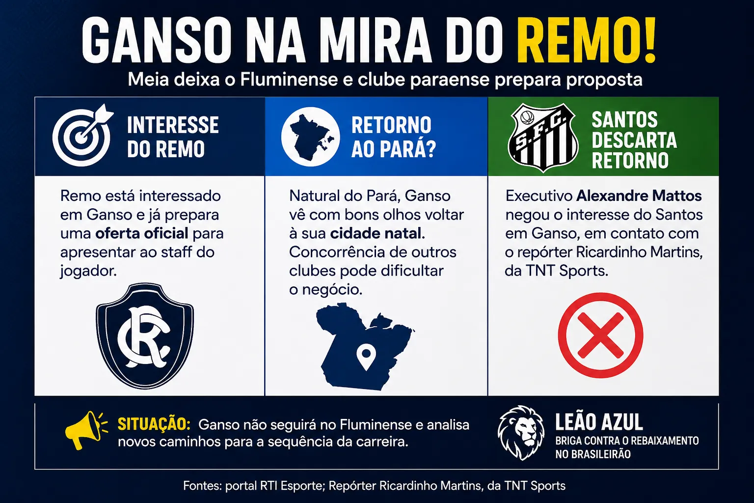 Infográfico Ganso