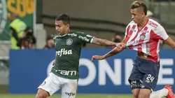 Palmeiras nunca foi derrotado por colombianos jogando como mandante (Photo by Ale Cabral)
