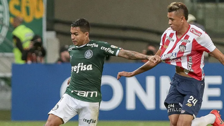 Palmeiras nunca foi derrotado por colombianos jogando como mandante (Photo by Ale Cabral)