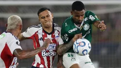 Libertadores. Foto: Cesar Greco/Palmeiras