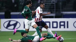 Palmeiras x Junior pela Libertadores - Foto: Ettore Chiereguini/AGIF