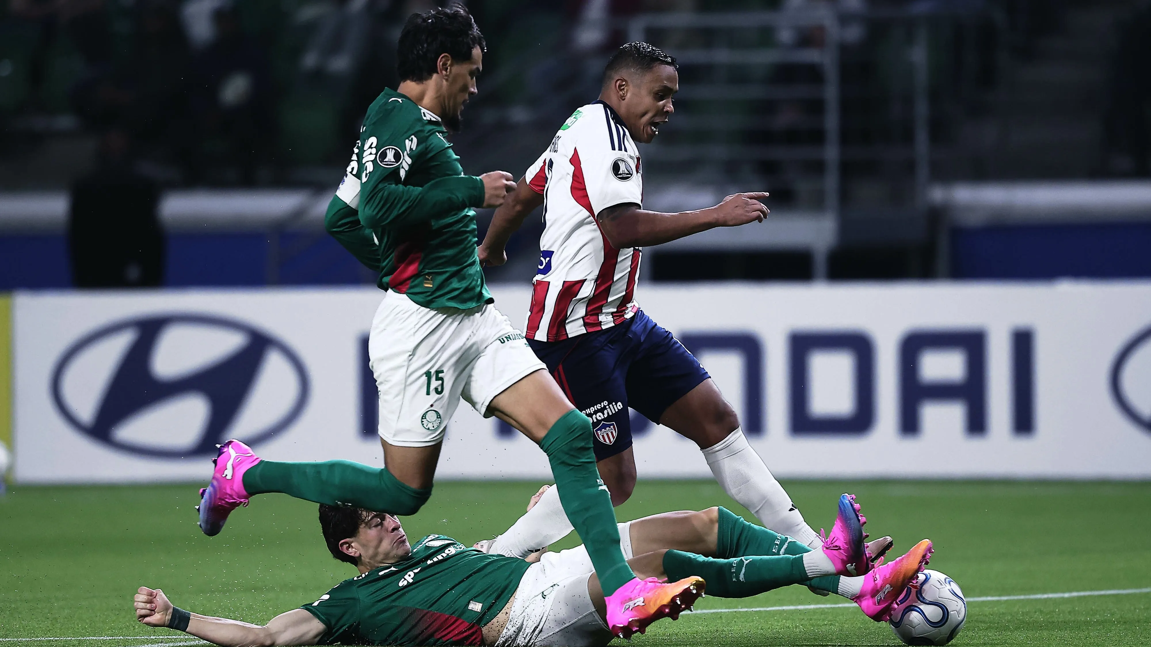 Palmeiras x Junior Barranquilla - Foto: Ettore Chiereguini/AGIF.