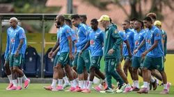 Carlo Ancelotti tecnico do Brasil durante treino no estadio Granja Comary. Foto: Thiago Ribeiro/AGIF