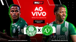 Palmeiras x Chapecoense - Acompanhe ao vivo e de graça pelo Brasileirão