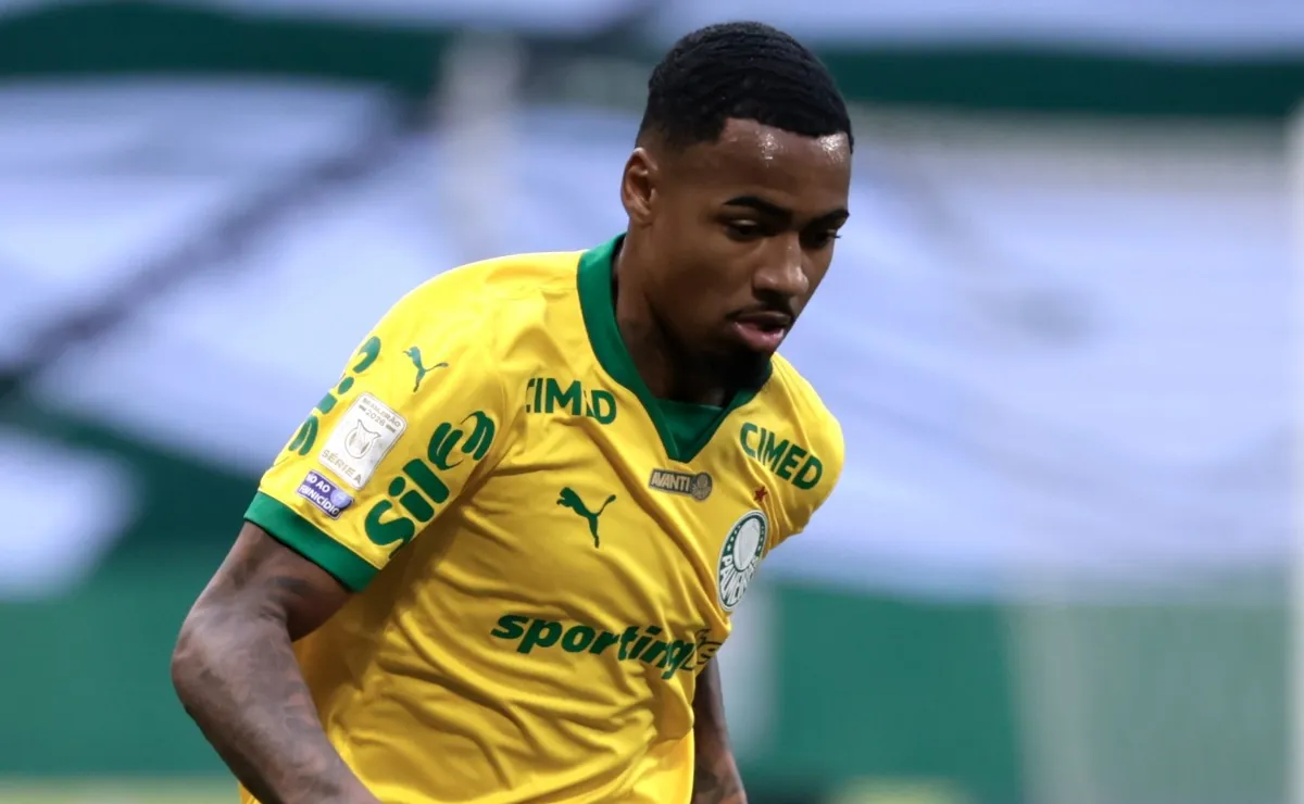 Expulsão de Allan gera revolta da torcida do Palmeiras diante da Chapecoense no Allianz Parque