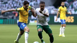 Khellven jogador do Palmeiras durante partida contra o Chapecoense. Foto: Marcello Zambrana/AGIF