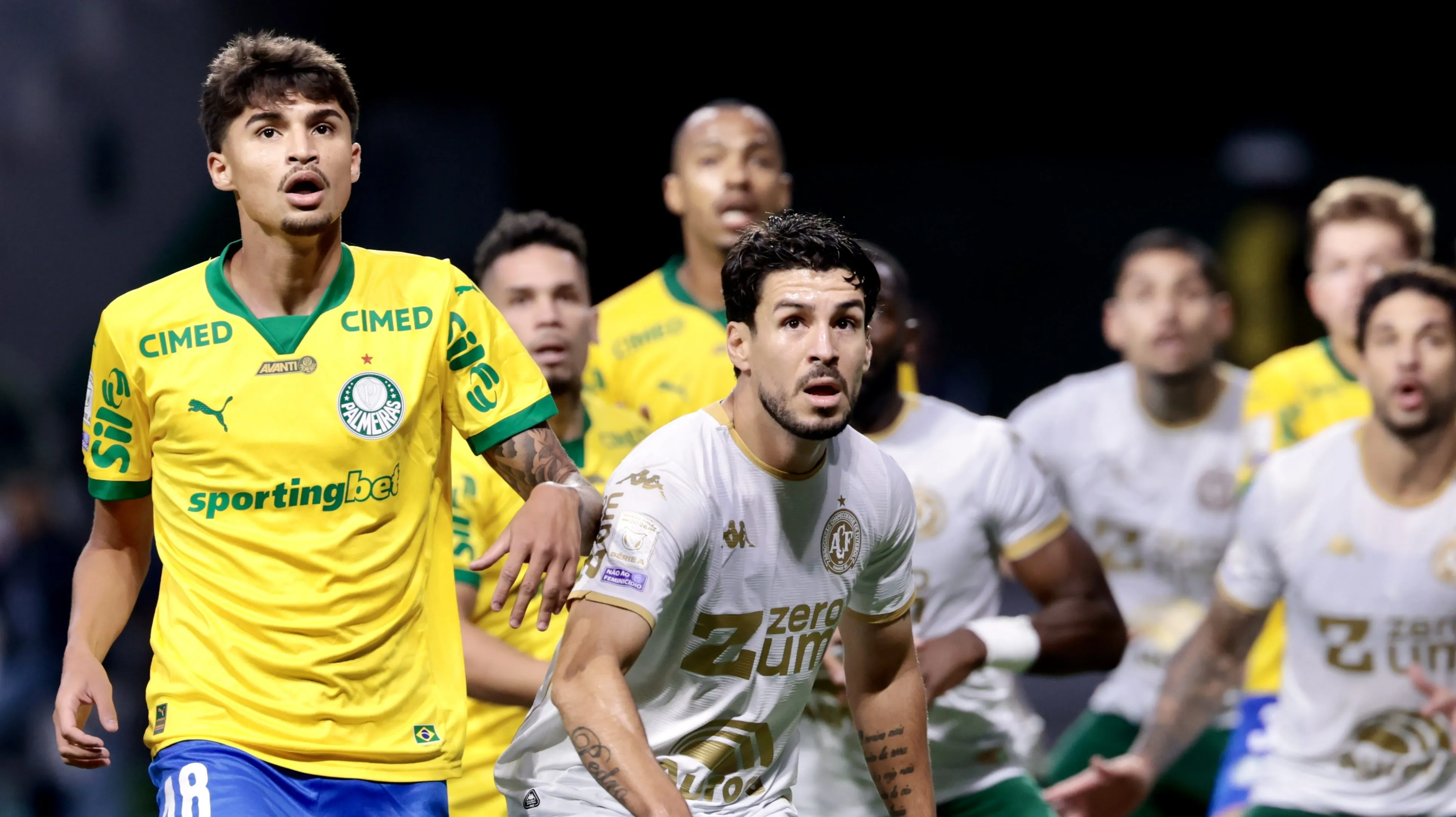 Palmeiras x Chapecoense - Foto: Marcello Zambrana/AGIF.