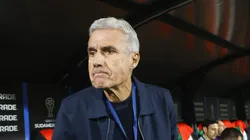 Luís Castro divide opiniões no Imortal - Foto: IMAGO / Photosport