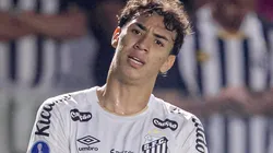 Meia vem fazendo bons jogos - Foto: Raul Baretta/Santos FC.