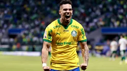 Paulinho jogador do Palmeiras comemora seu gol durante partida contra o Chapecoense no estadio Nubank Arena pelo campeonato Brasileiro A 2026. Foto: Marcello Zambrana/AGIF