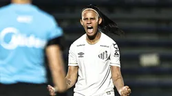 Santos se prepara para pausa da Copa do Mundo - Foto: Reinaldo Campos/Santos F.C