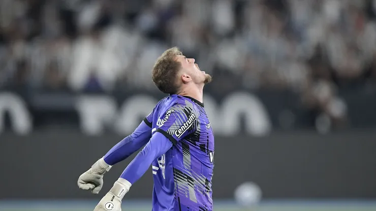 Botafogo sofre mais com falhas de goleiros que todos os clubes da Série A em 2026 — Foto Thiago RibeiroAGIF