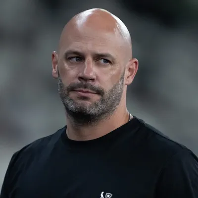 Botafogo aproveita pausa da Copa para recuperar lesionados