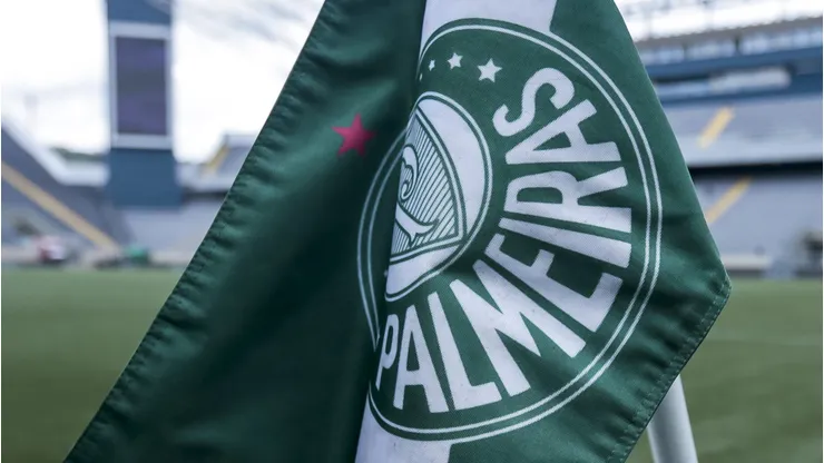 Palmeiras. Foto: Marco Miatelo/AGIF