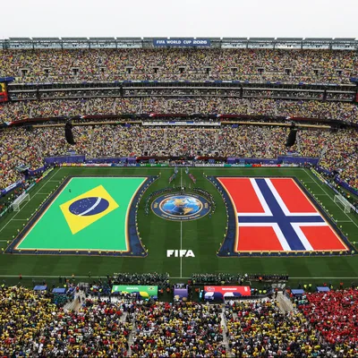 Fifa surpreende e anuncia venda do gramado da final da Copa