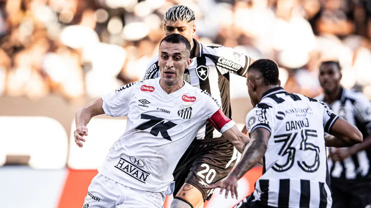 Botafogo x Santos. Foto: Raul Baretta/ Santos FC.