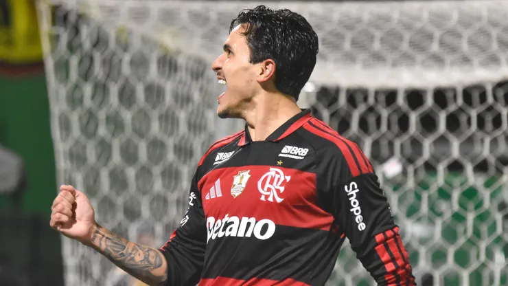 SC - CHAPECO - 22/07/2026 - BRASILEIRO A 2026, CHAPECOENSE X FLAMENGO - Pedro jogador do Flamengo comemora seu gol durante partida contra o Chapecoense no estadio Arena Conda pelo campeonato Brasileiro A 2026. Foto: Renato Padilha/AGIF