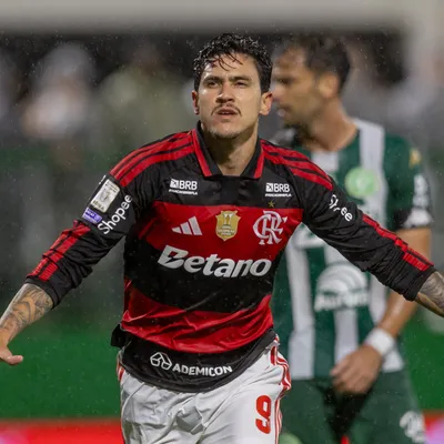 Pedro registra melhor média de gols no Brasileirão pelo Flamengo