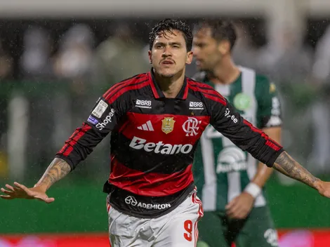 Pedro registra melhor média de gols no Brasileirão pelo Flamengo