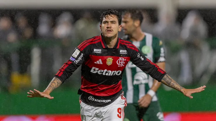Pedro jogador do Flamengo comemora seu gol durante partida contra o Chapecoense no estadio Arena Conda pelo campeonato Brasileiro A 2026. Foto: Liamara Polli/AGIF