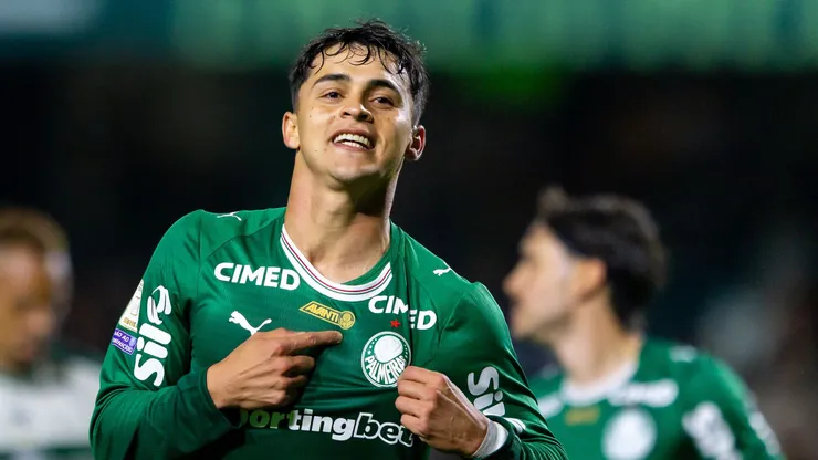 Palmeiras amplia favoritismo no Brasileirão e abre vantagem sobre o Flamengo na disputa pelo título - Foto Rodolfo BuhrerAGIF