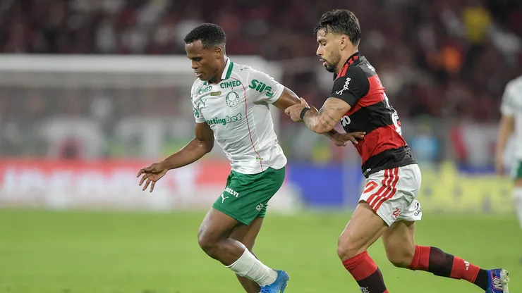 Palmeiras e Flamengo dominam o futebol brasileiro na atualidade. Foto: Thiago Ribeiro/AGIF