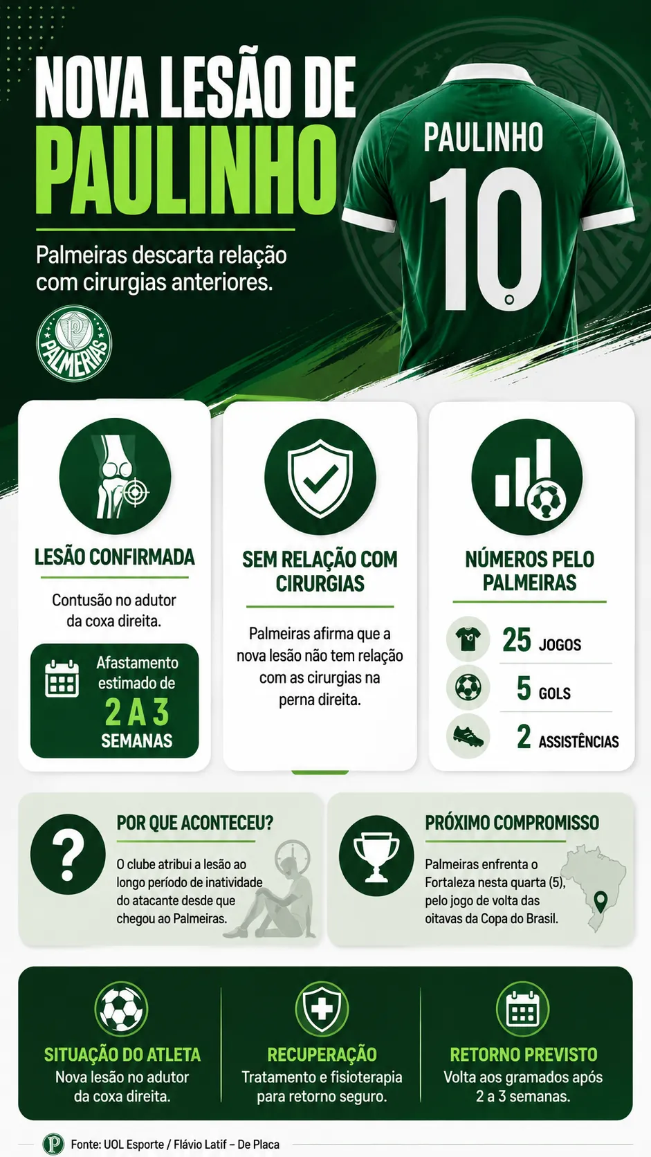 Infográfico Paulinho