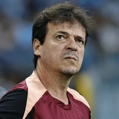 Diniz lista erros de arbitragem e culpa apito por eliminação
