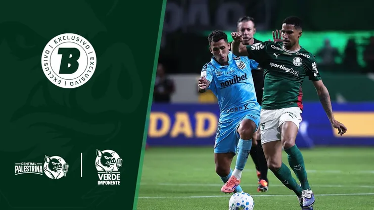 Palmeiras x Santos. Foto: Ettore Chiereguini/AGIF